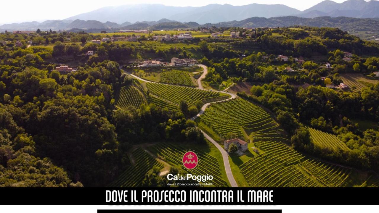 Villa Del Poggio Prosecco Bike Hotel San Pietro Di Feletto Exterior foto